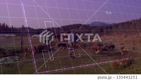 Walking farmer in plaid shirt, jeans inspecting pasture, with pigs hens wooden shelter grid overlay Walking farmer in plaid shirt, jeans inspecting pasture, with pigs hens wooden shelter grid overlay 135443251