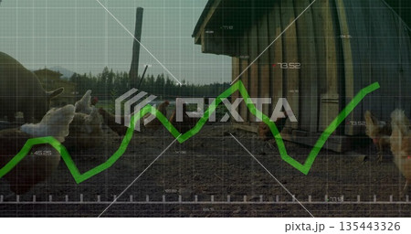 Roaming free-range chickens foraging on farmyard, with wooden henhouse and green data graph overlay 135443326