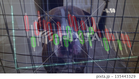 Sitting brown and white dog looking through wire crate bars in kennel, showing candlestick overlay 135443329