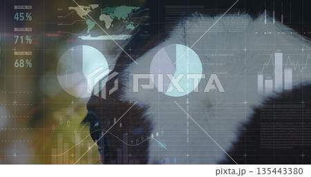 Merging black and white dog head with dark studio data overlays, world map, charts, percentages Merging black and white dog head with dark studio data overlays, world map, charts, percentages 135443380