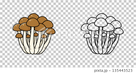 簡單的石龍子圖示插圖 135443523