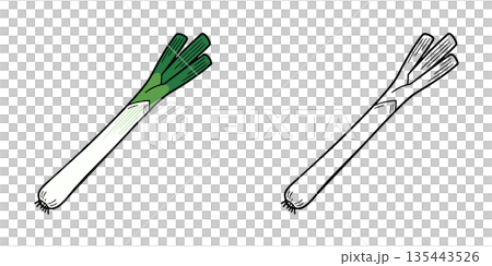 シンプルな長ねぎのアイコンイラスト シンプルな長ねぎのアイコンイラスト 135443526