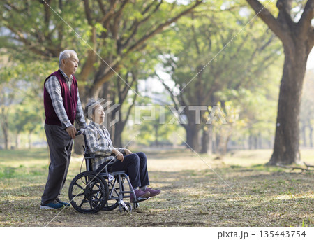 Asian senior or elderly old lady woman patient on wheelchair in park 135443754