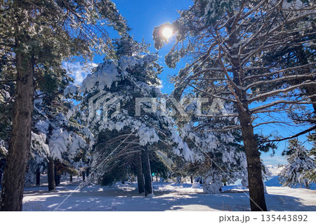 Pristine winter mountain views reveal snow-covered peaks and untouched alpine landscapes in the Sierra Nevada, Spain. 135443892