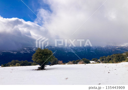 Pristine winter mountain views reveal snow-covered peaks and untouched alpine landscapes in the Sierra Nevada, Spain. Pristine winter mountain views reveal snow-covered peaks and untouched alpine landscapes in the Sierra Nevada, Spain. 135443909
