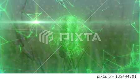 Floating holographic Earth globe above grassy field, with neon network lines and triangular nodes Floating holographic Earth globe above grassy field, with neon network lines and triangular nodes 135444501