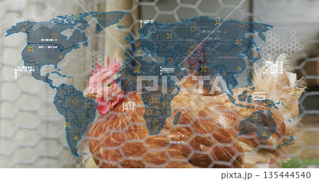 Brown hen standing behind hexagonal mesh fencing in chicken coop, with digital world map overlay Brown hen standing behind hexagonal mesh fencing in chicken coop, with digital world map overlay 135444540