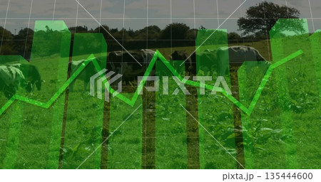 Showing herd of dairy cows grazing in lush pasture, with bar, line graph and grid overlay Showing herd of dairy cows grazing in lush pasture, with bar, line graph and grid overlay 135444600