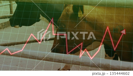 Showing dairy cow with ear tag standing behind rails in concrete pen, with grid, arrow overlay Showing dairy cow with ear tag standing behind rails in concrete pen, with grid, arrow overlay 135444602