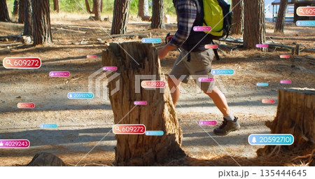 Hiker wearing green backpack navigating pine forest clearing, with numeric tags on stumps and bike Hiker wearing green backpack navigating pine forest clearing, with numeric tags on stumps and bike 135444645