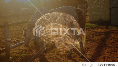 Grazing pale horse in farm pen with 3D brain overlay, network lines, wooden fence by barn Grazing pale horse in farm pen with 3D brain overlay, network lines, wooden fence by barn 135444690