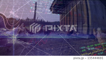 Pecking flock of chickens foraging by wooden coop in farmyard at twilight, with faint market charts 135444691