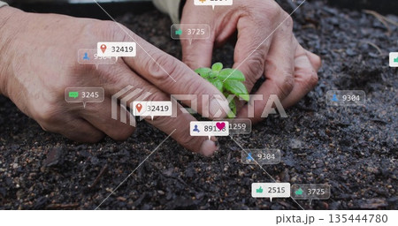 Planting gardener hands wearing beige garment placing seedling into garden, with social media icons 135444780