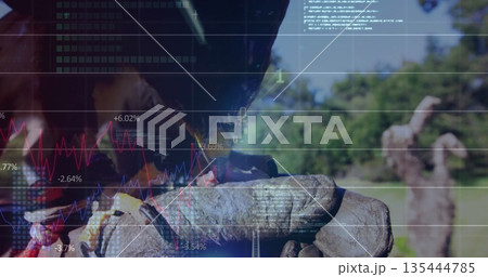 Gripping thick leather work gloves holding pruned vine trunk in vineyard, financial chart overlay 135444785