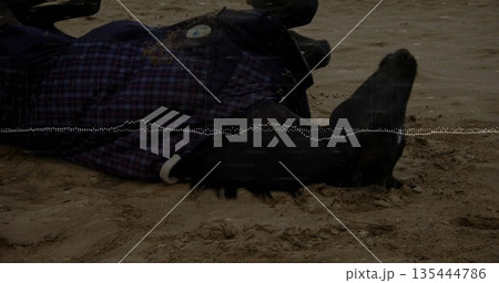 Lying person wearing dark plaid coat and black boots on sandy beach, with ridged sand textures 135444786