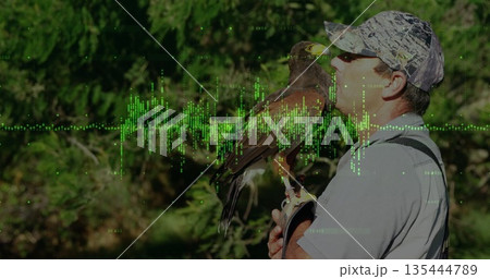 Holding falconer with camouflage cap gripping hawk on glove in forest with waveform, copy space Holding falconer with camouflage cap gripping hawk on glove in forest with waveform, copy space 135444789