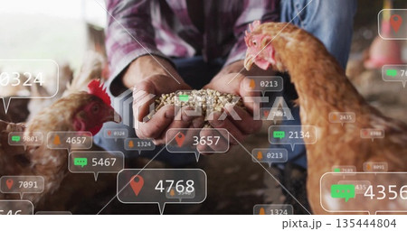 Crouching caretaker wearing plaid shirt offering feed in coop, with brown hens and digital overlays 135444804