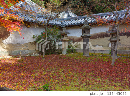 秋の兵庫県姫路市の書写山円教寺の紅葉 135445053