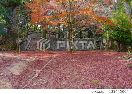 秋の兵庫県姫路市の書写山円教寺の紅葉 秋の兵庫県姫路市の書写山円教寺の紅葉 135445064