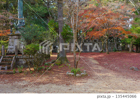 秋の兵庫県姫路市の書写山円教寺の紅葉 秋の兵庫県姫路市の書写山円教寺の紅葉 135445066