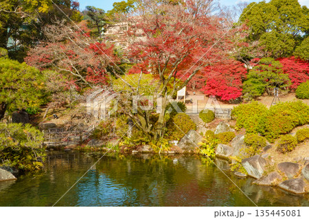 秋の神戸市・相楽園の日本庭園の池と紅葉 135445081