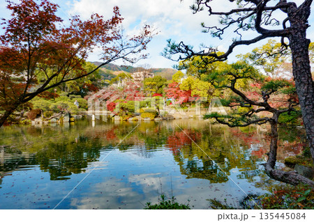 秋の神戸市・相楽園の日本庭園の池と紅葉 135445084