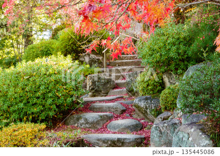 秋の神戸市・相楽園の日本庭園の石段と紅葉 秋の神戸市・相楽園の日本庭園の石段と紅葉 135445086