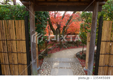 秋の神戸市・相楽園の日本庭園の和風門と紅葉 135445089