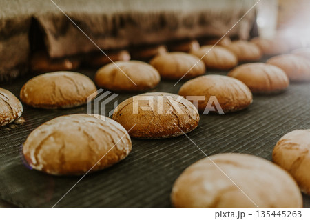 Fresh buns from the oven. Conveyor with bread. Baking bread. Workshop for production of bread. White bread in the oven. Hot buns. Confectionery. 135445263