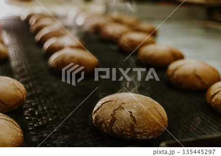 Fresh buns from the oven. Conveyor with bread. Baking bread. Workshop for production of bread. White bread in the oven. Hot buns. Confectionery. 135445297