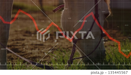 Displaying horse muzzle and legs wearing halter in paddock, showing grid with red line chart labels 135445567