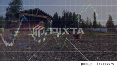 Displaying wooden chicken coop sitting on farmyard, with free-range chickens and financial overlay 135445579