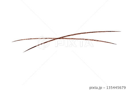 A brown stroke from a cosmetic eyebrow pencil. Isolated on a white background. A brown stroke from a cosmetic eyebrow pencil. Isolated on a white background. 135445679