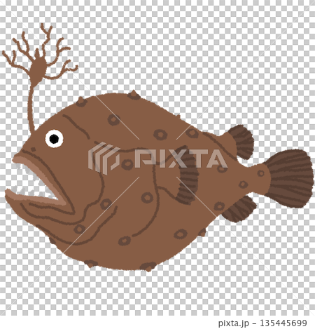 Illustration of anglerfish 135445699