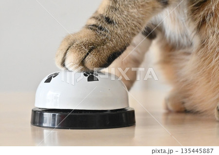ベルを鳴らす猫の手 ベルを鳴らす猫の手 135445887