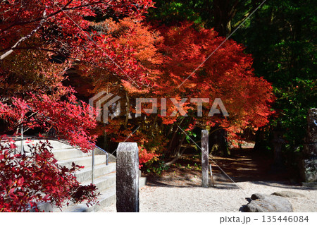 晩秋の仁比山神社 135446084