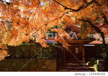 晩秋の仁比山神社 晩秋の仁比山神社 135446185