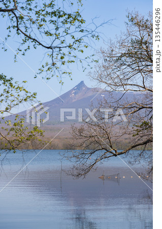 北海道大沼春の景色04 北海道大沼春の景色04 135446296