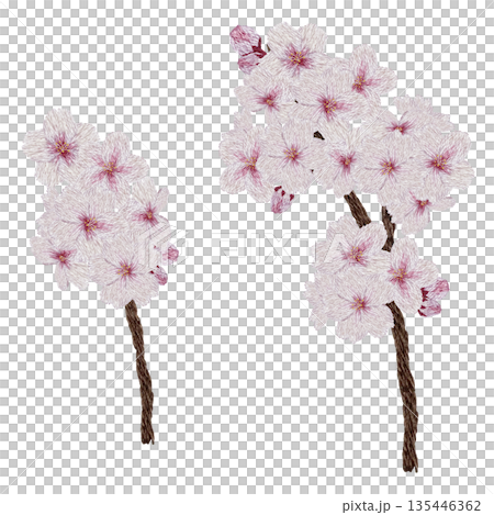 【櫻花枝】手工刺繡插畫素材 135446362