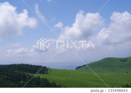 霧ヶ峰（長野県） 135446643