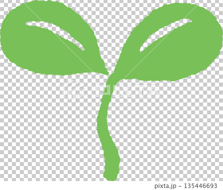 手繪彩色圖標,描繪了正在生長的嫩芽和幼葉。 手繪彩色圖標,描繪了正在生長的嫩芽和幼葉。 135446693