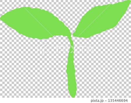 手繪彩色圖標，描繪了正在生長的嫩芽和幼葉。 135446694