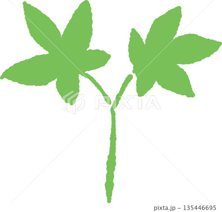 新緑の季節にぴったりな芽の手書き風 カラー カット素材 新緑の季節にぴったりな芽の手書き風 カラー カット素材 135446695