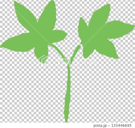 新緑の季節にぴったりな芽の手書き風 カラー カット素材 新緑の季節にぴったりな芽の手書き風 カラー カット素材 135446695