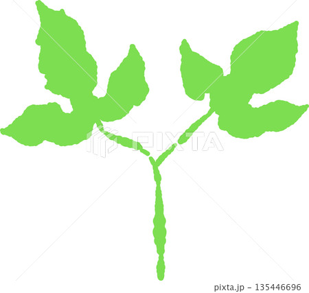 新緑の季節にぴったりな芽の手書き風 カラー カット素材 135446696