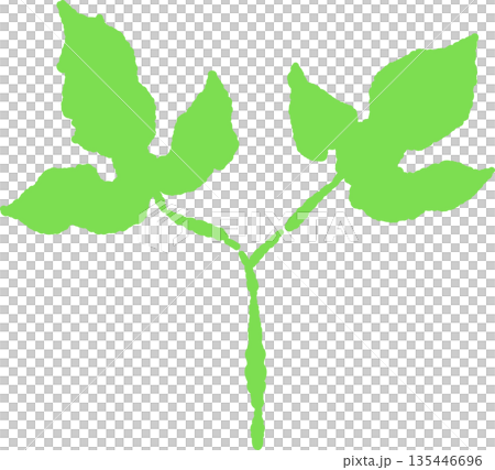 新緑の季節にぴったりな芽の手書き風 カラー カット素材 135446696