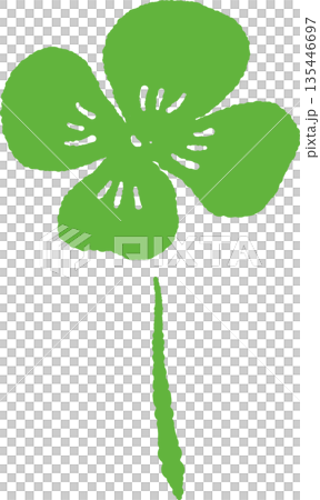 春のシロツメクサとクローバーの手書き風 カラー 装飾素材 135446697