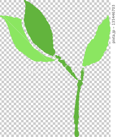 手繪彩色插圖，描繪了初夏茂盛的樹葉和枝條 135446703