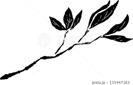 新緑の季節にぴったりな芽の手書き風 モノクロ カット素材 新緑の季節にぴったりな芽の手書き風 モノクロ カット素材 135447163