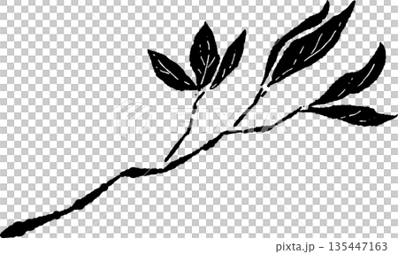 新緑の季節にぴったりな芽の手書き風 モノクロ カット素材 新緑の季節にぴったりな芽の手書き風 モノクロ カット素材 135447163